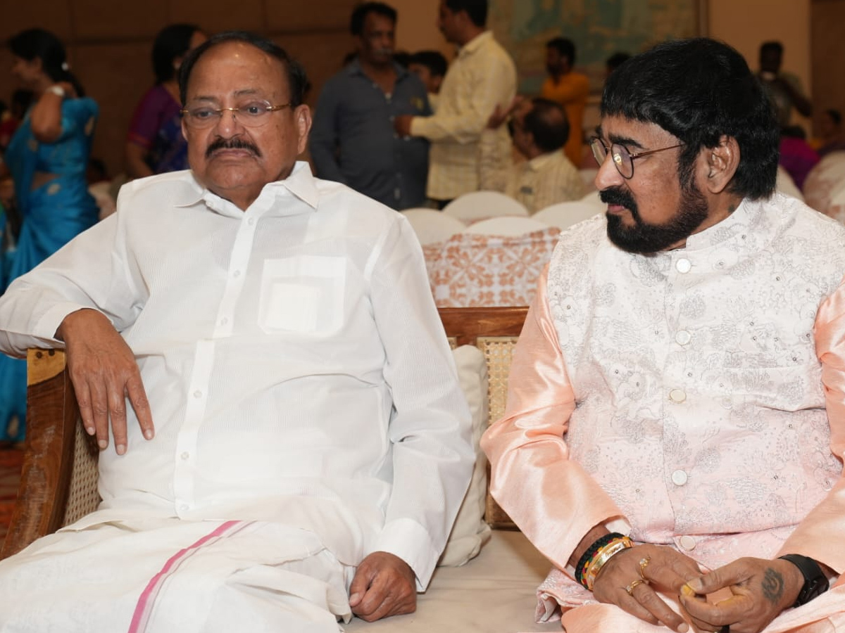Producer Vrk Rao Grand Daughter Wedding Photos12