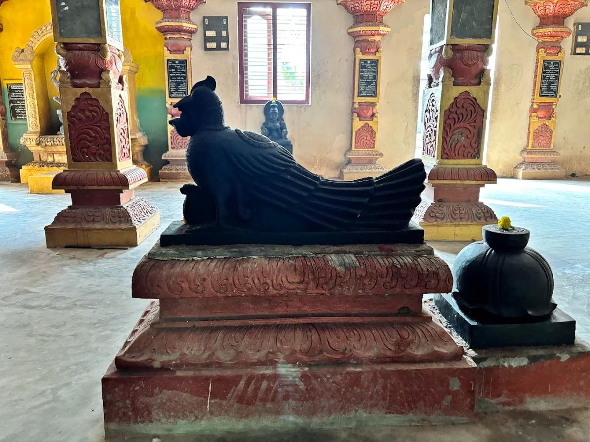 Devotional : Sri Manasa Devi Temple in Mukkamala Peetam HD Photos12