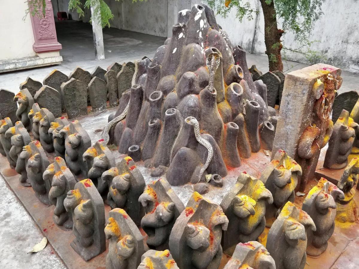Devotional : Sri Manasa Devi Temple in Mukkamala Peetam HD Photos17
