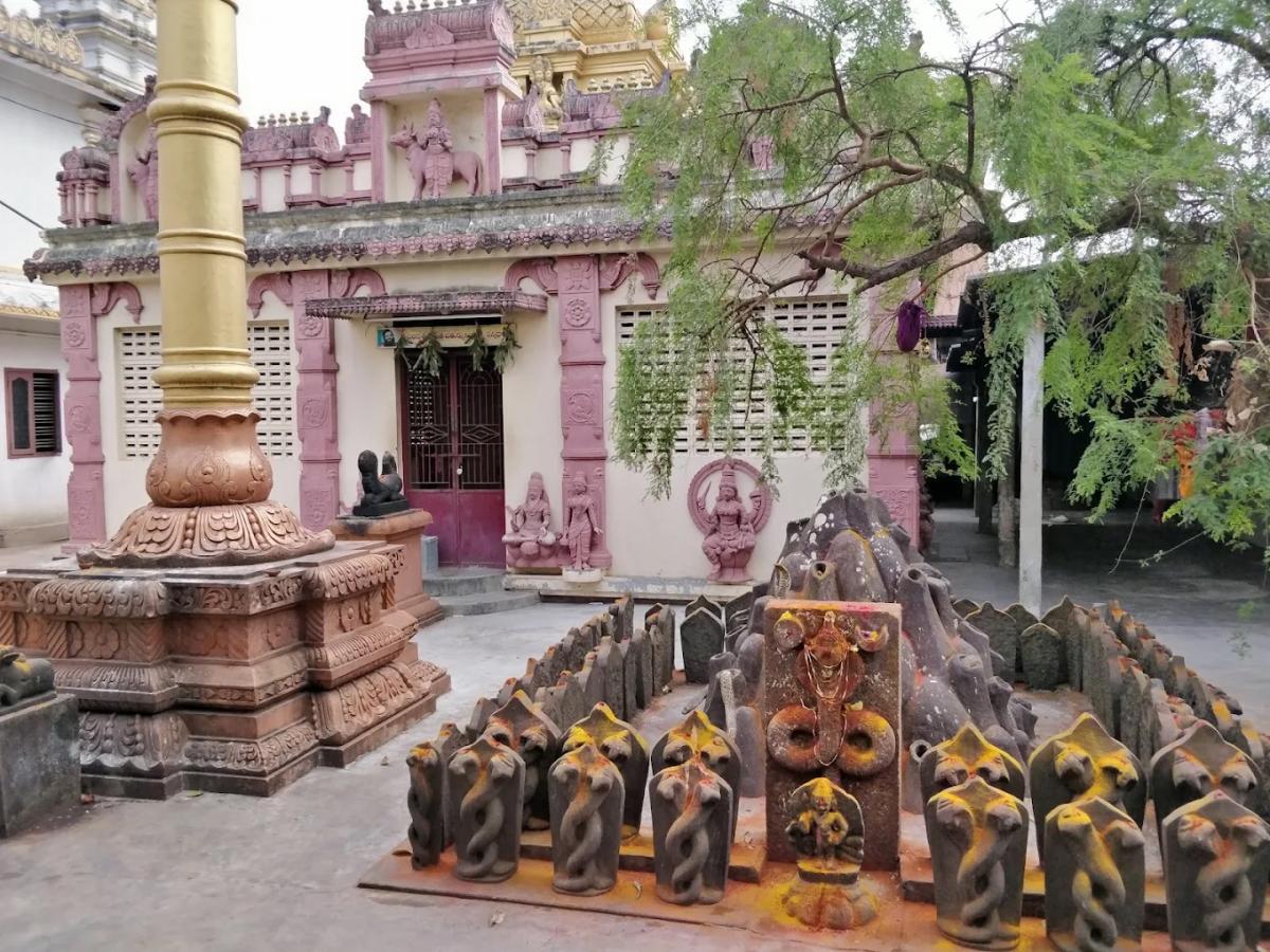 Devotional : Sri Manasa Devi Temple in Mukkamala Peetam HD Photos18