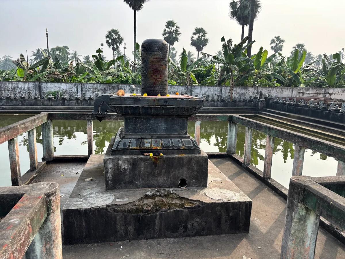 Devotional : Sri Manasa Devi Temple in Mukkamala Peetam HD Photos22