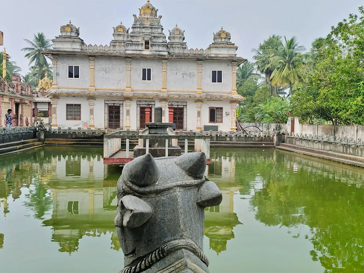 Devotional : Sri Manasa Devi Temple in Mukkamala Peetam HD Photos23