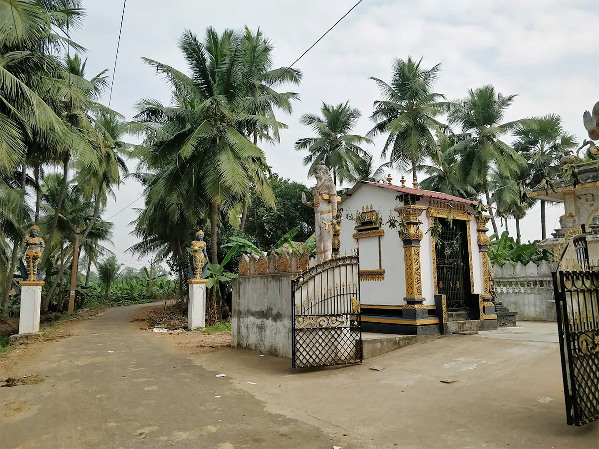 Devotional : Sri Manasa Devi Temple in Mukkamala Peetam HD Photos26
