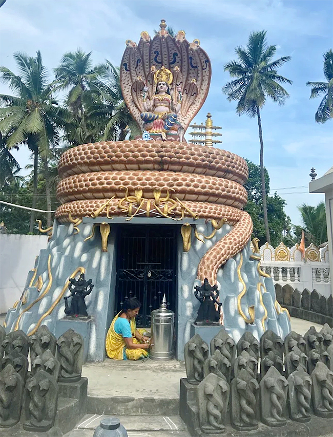 Devotional : Sri Manasa Devi Temple in Mukkamala Peetam HD Photos3