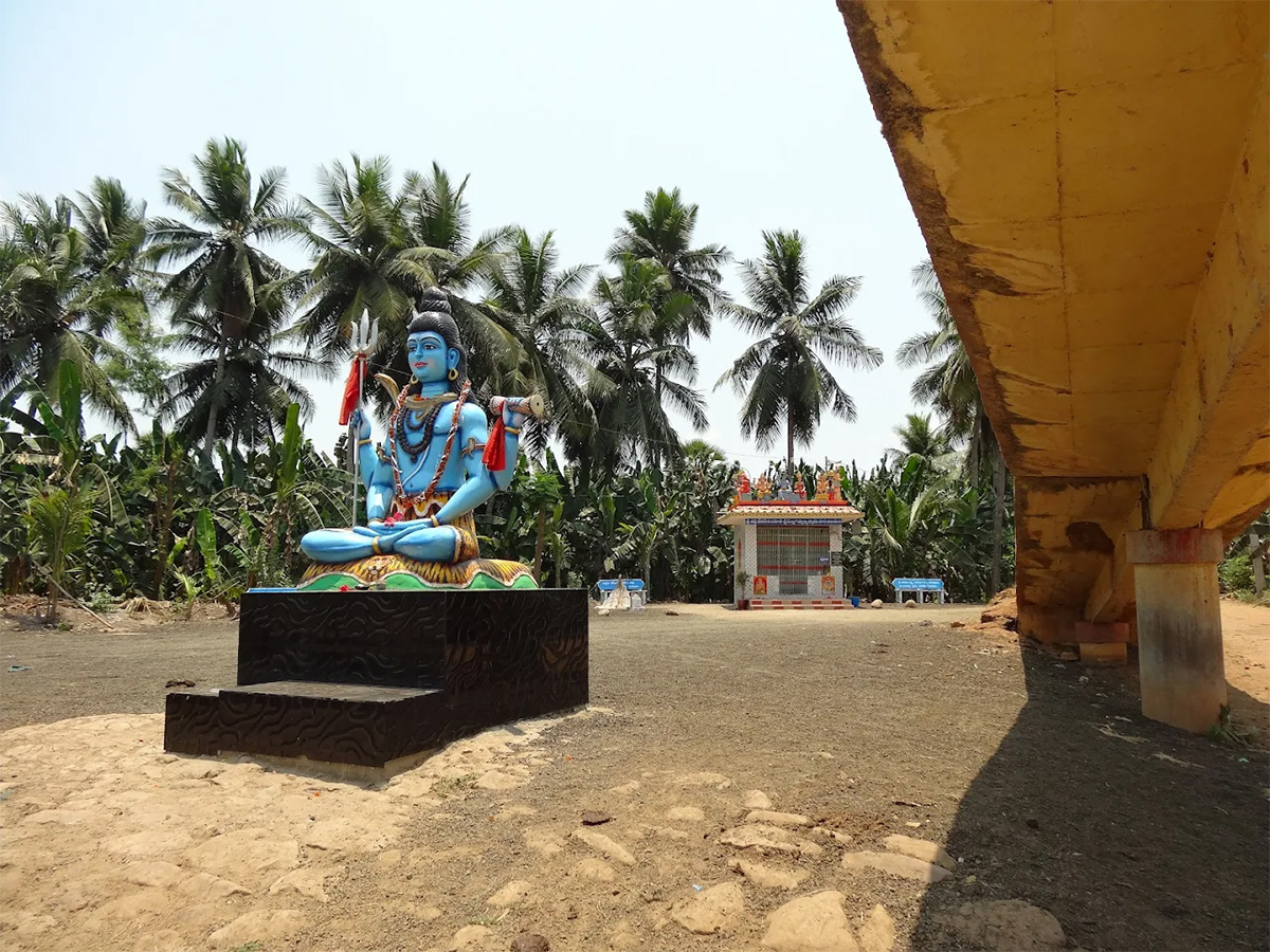 Devotional : Sri Manasa Devi Temple in Mukkamala Peetam HD Photos31