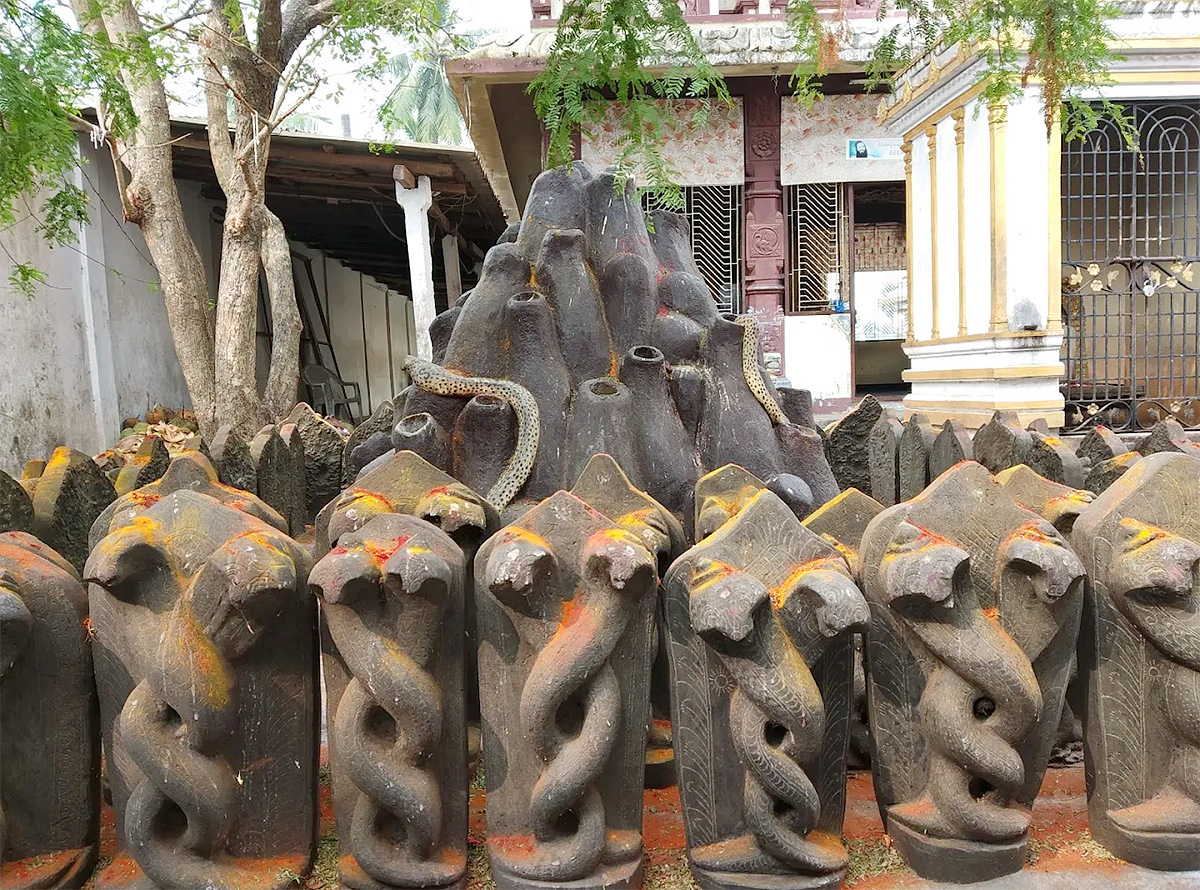 Devotional : Sri Manasa Devi Temple in Mukkamala Peetam HD Photos6