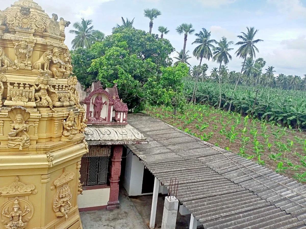 Devotional : Sri Manasa Devi Temple in Mukkamala Peetam HD Photos8