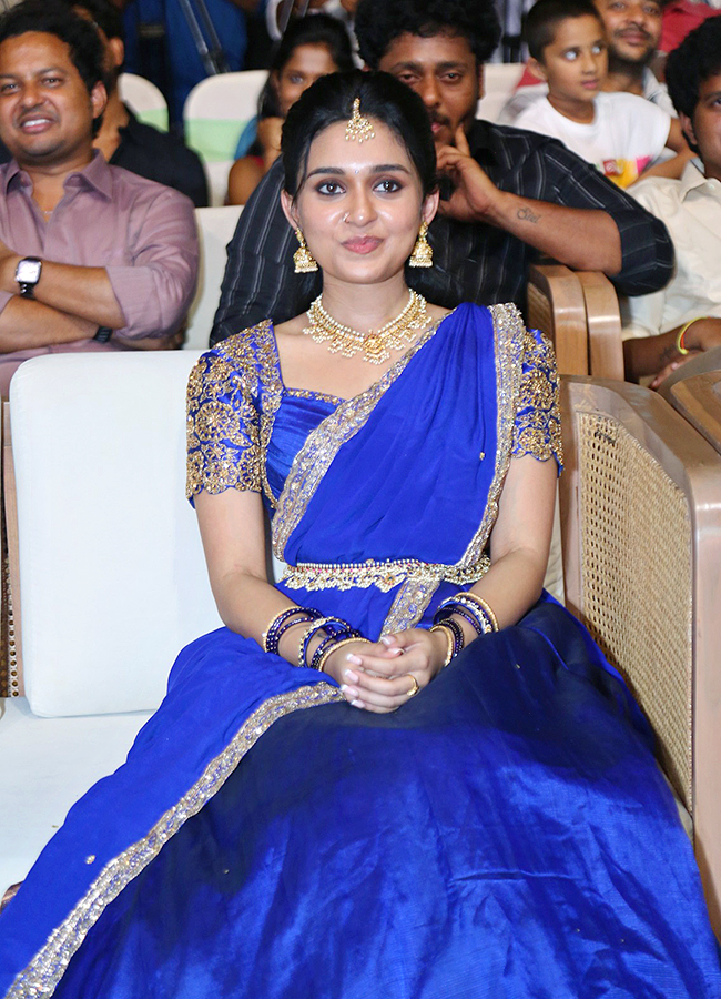 Godari Gattupaina Movie Pre Release Event HD Photos16