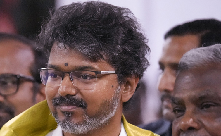 TVK Celebrations Ignite As Vijay Prepares To Form New Government PHotos8