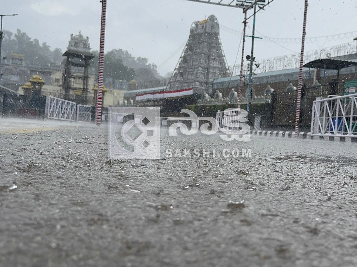 Rain In Tirumala Causes Trouble for Devotees Photos1