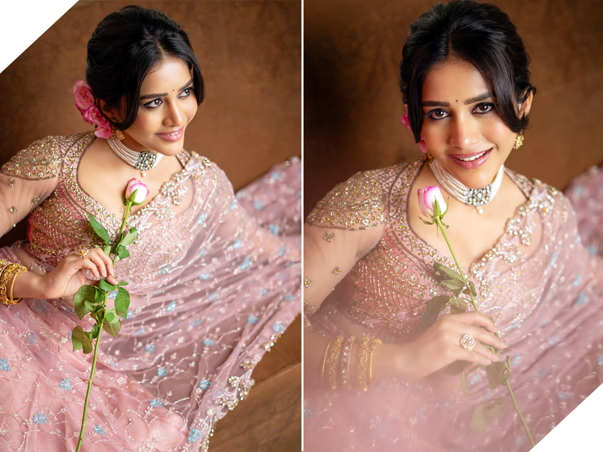 Nabha Natesh dazzling in a pink dress Photos1
