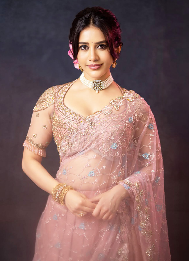 Nabha Natesh dazzling in a pink dress Photos11