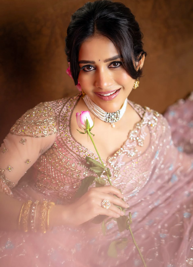 Nabha Natesh dazzling in a pink dress Photos2