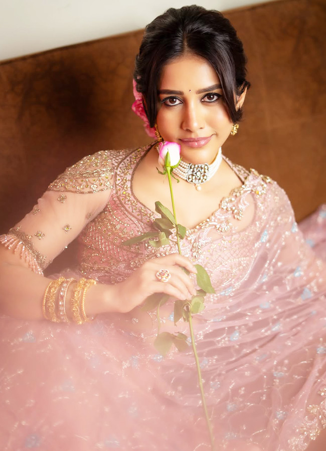 Nabha Natesh dazzling in a pink dress Photos5