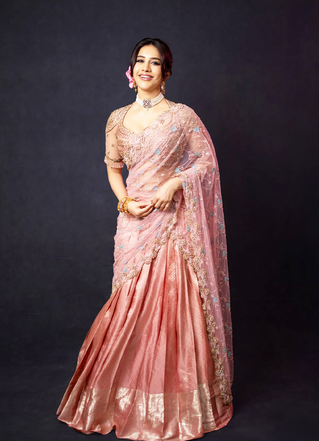 Nabha Natesh dazzling in a pink dress Photos7