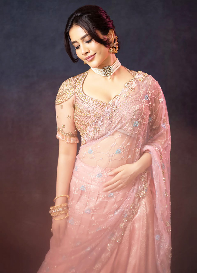 Nabha Natesh dazzling in a pink dress Photos9