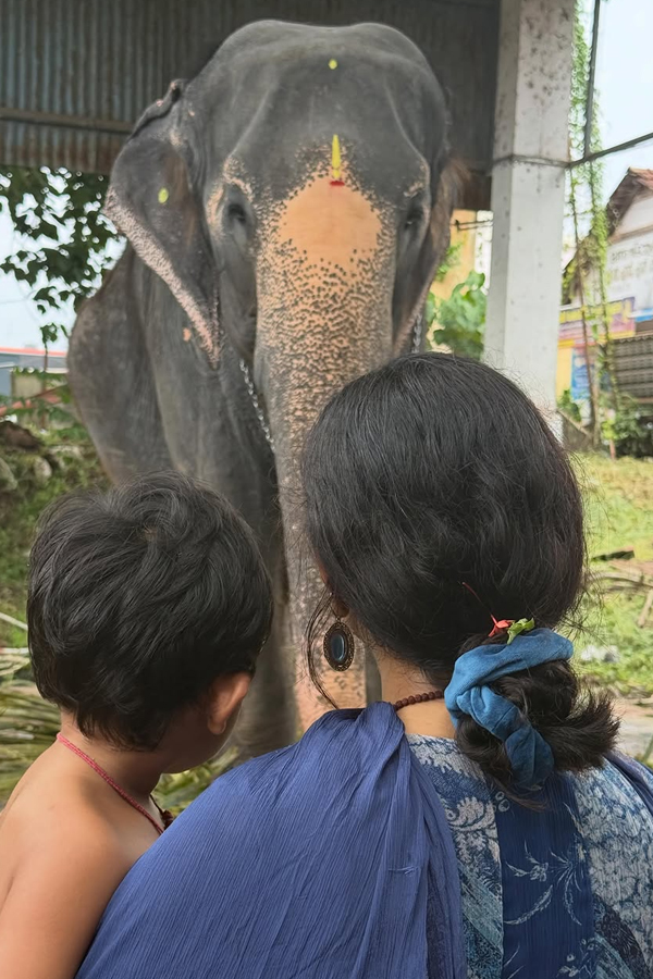 Actress Amalapaul son Birthday celebration Photos2