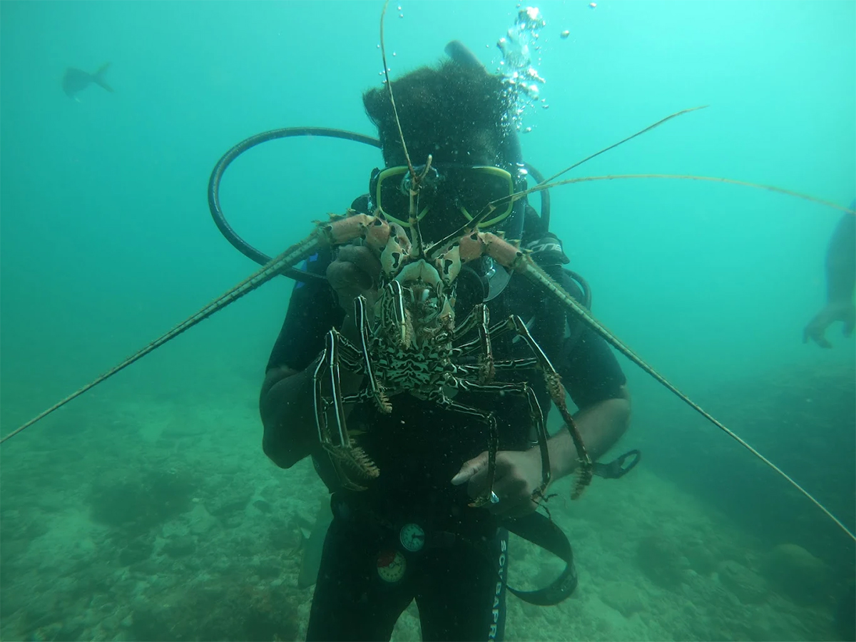 Netrani Island Karnataka HD Photos25