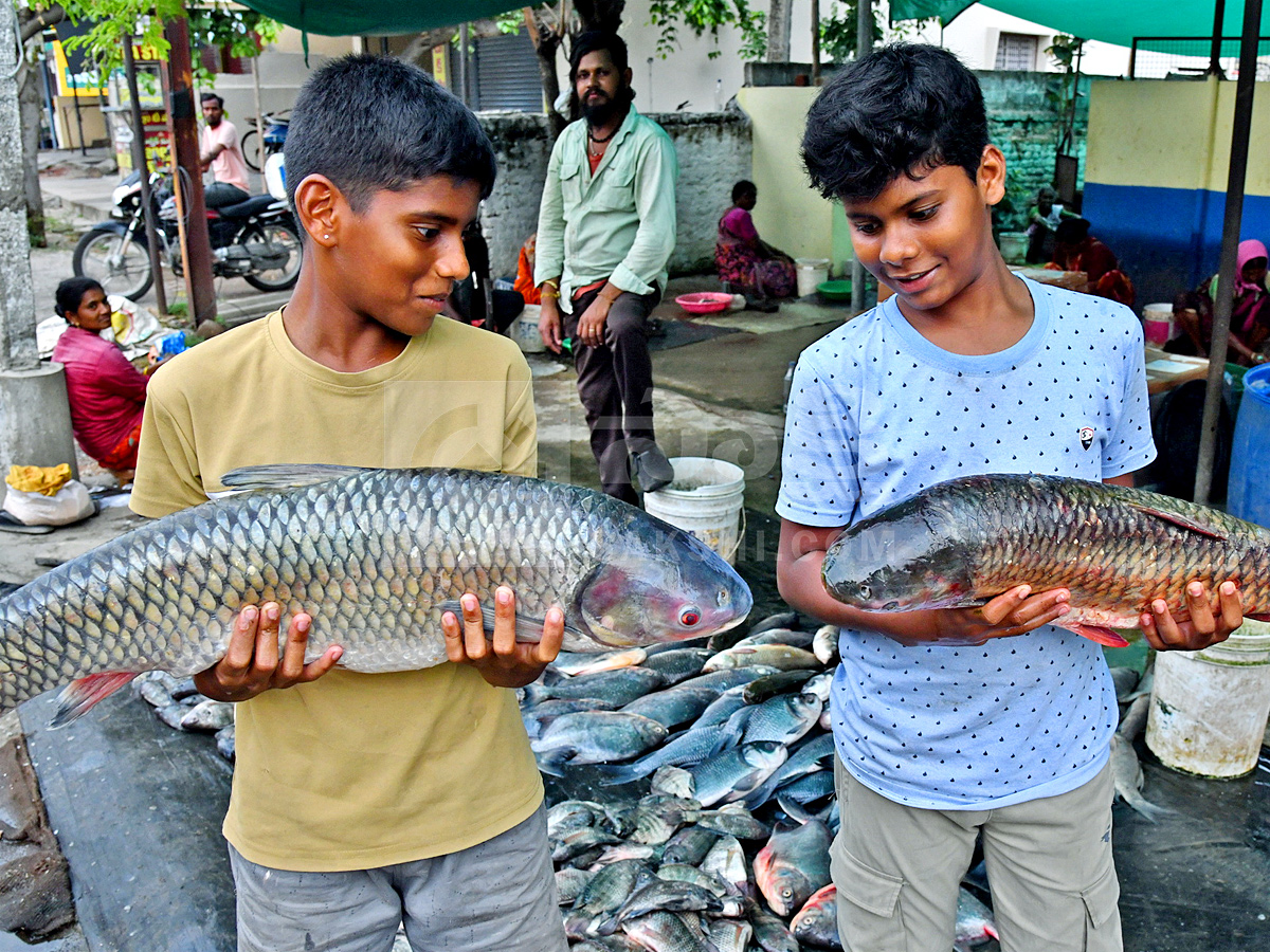 Best Photos of The Week in AP and Telangana Photo Gallery8