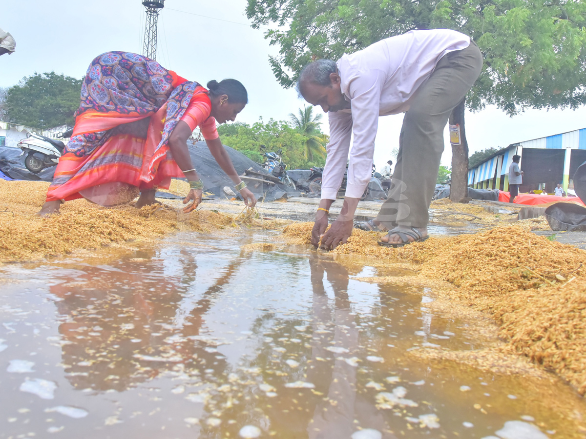 Best Photos of The Week in AP and Telangana Photo Gallery14