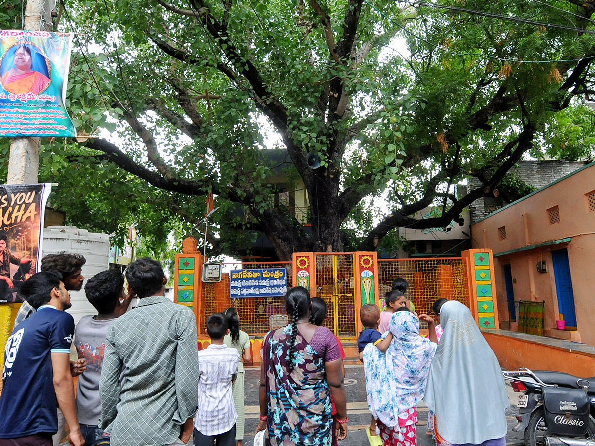 Kurnool Most Mysterious Tree Opened Its Eyes Viral Photos17