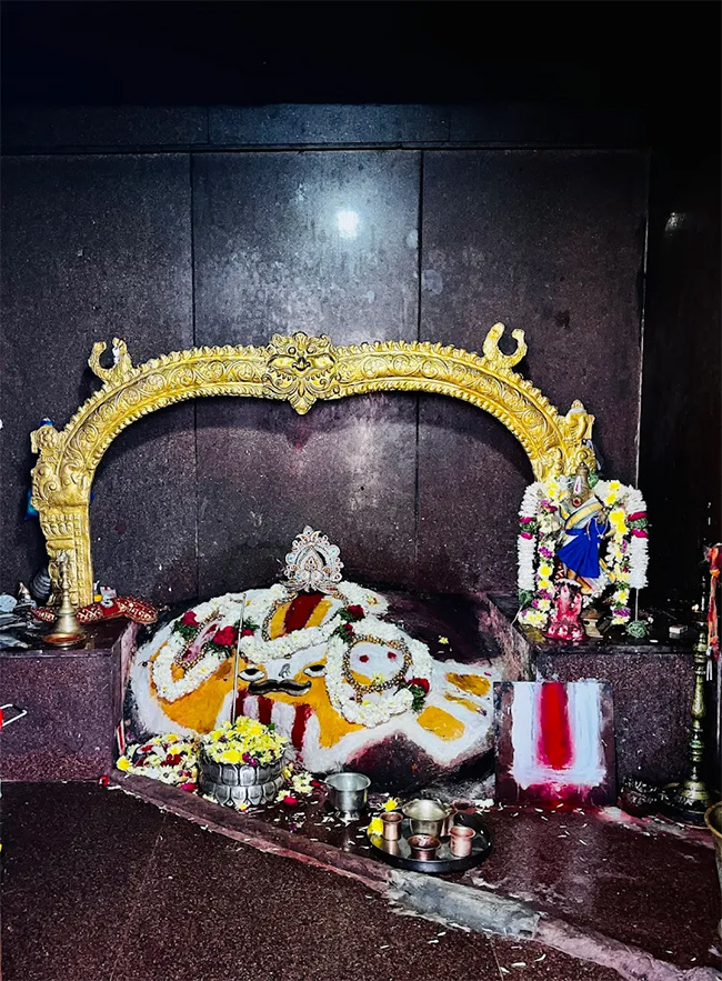 Devotional : Sri Mathsyagiri Lakshmi Narasimha Swamy Devasthanam15