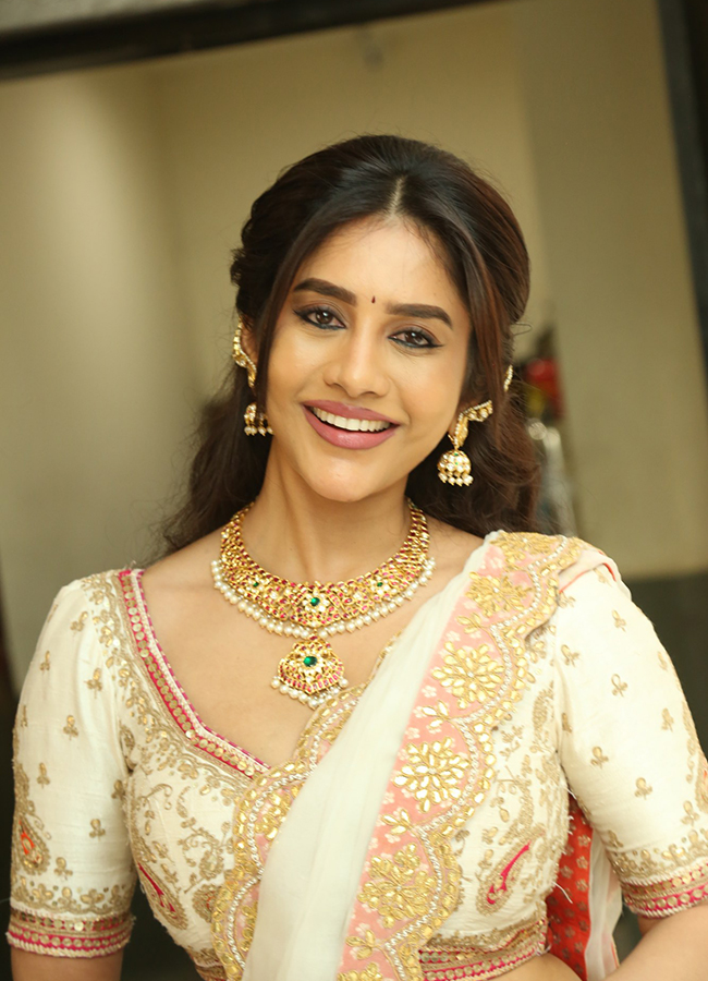 Actress Nabha Natesh Nagabandham Movie Stills HD11