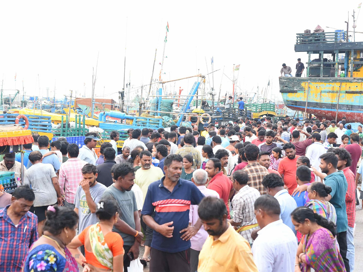 Fish Market Visakhapatnam Photos24