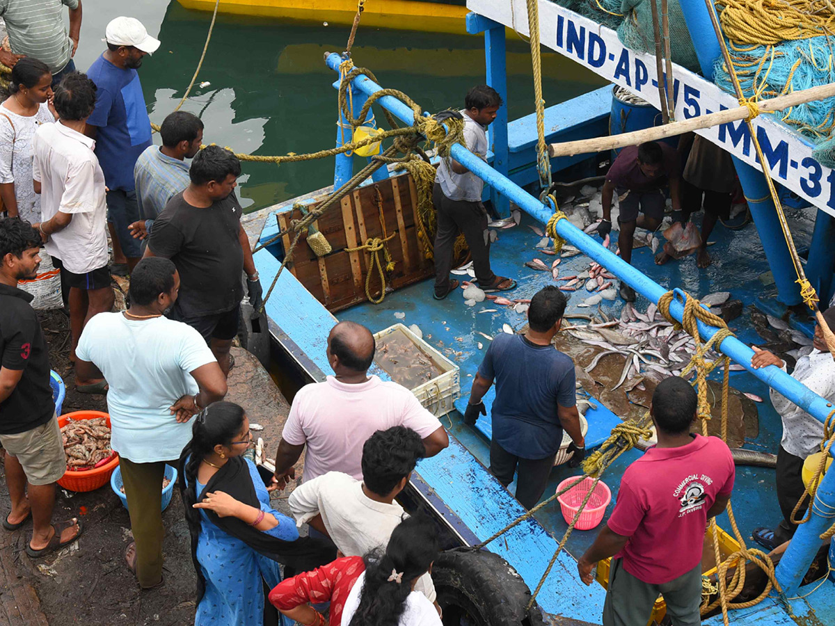 Fish Market Visakhapatnam Photos4