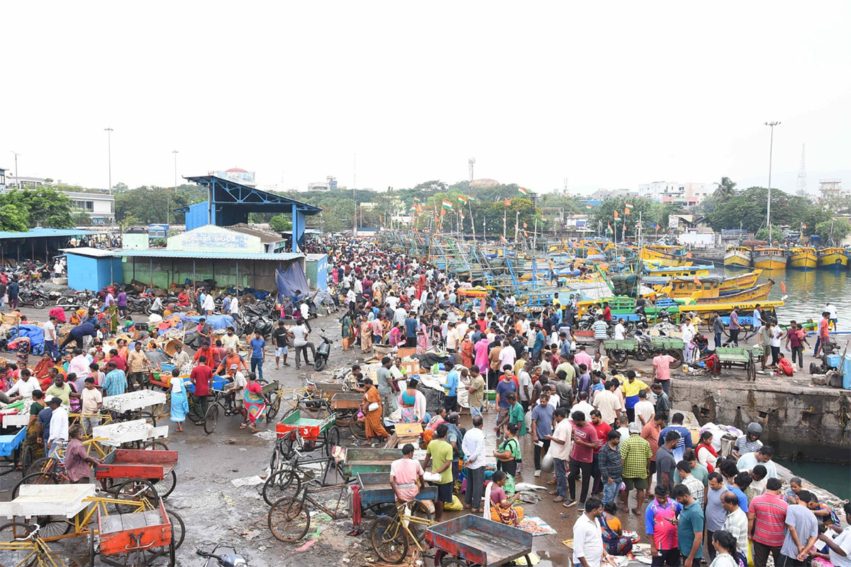 Fish Market Visakhapatnam Photos9