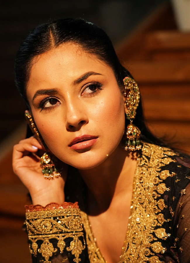 Shehnaaz Gill served a royal glamour In golden Anarkali suit7