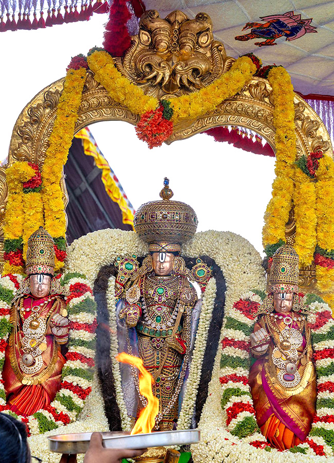Devotional : Tirumala Srivari Jyeshtabhishekam Photos10