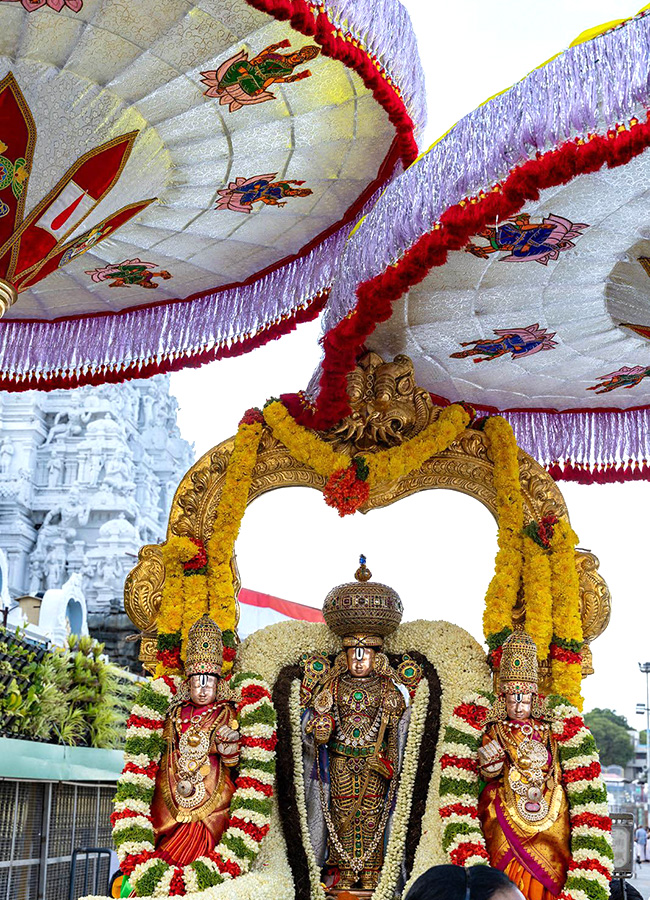 Devotional : Tirumala Srivari Jyeshtabhishekam Photos11