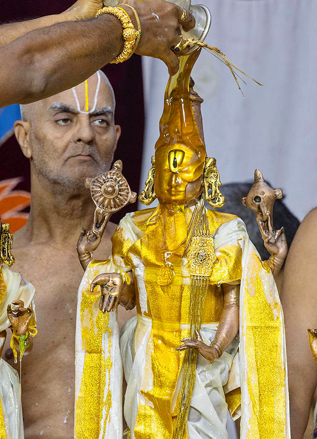 Devotional : Tirumala Srivari Jyeshtabhishekam Photos12