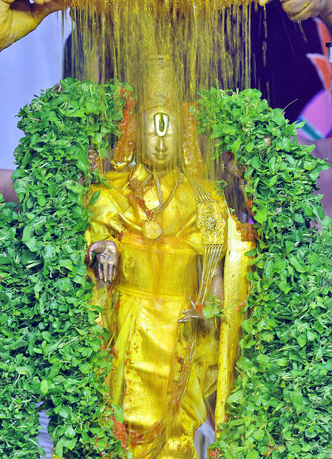 Devotional : Tirumala Srivari Jyeshtabhishekam Photos13