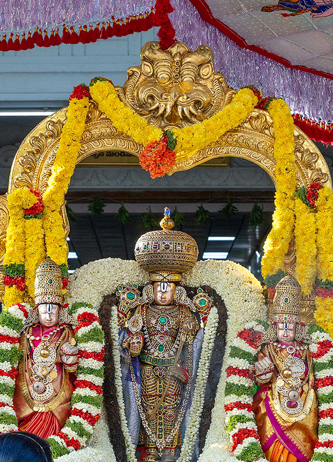 Devotional : Tirumala Srivari Jyeshtabhishekam Photos14