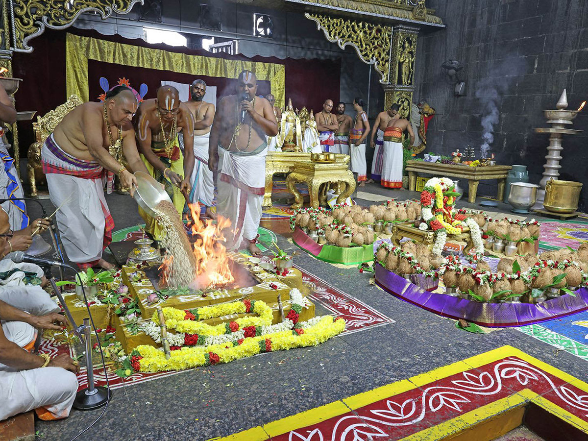 Devotional : Tirumala Srivari Jyeshtabhishekam Photos2