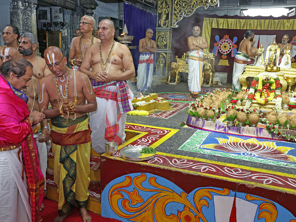 Devotional : Tirumala Srivari Jyeshtabhishekam Photos6