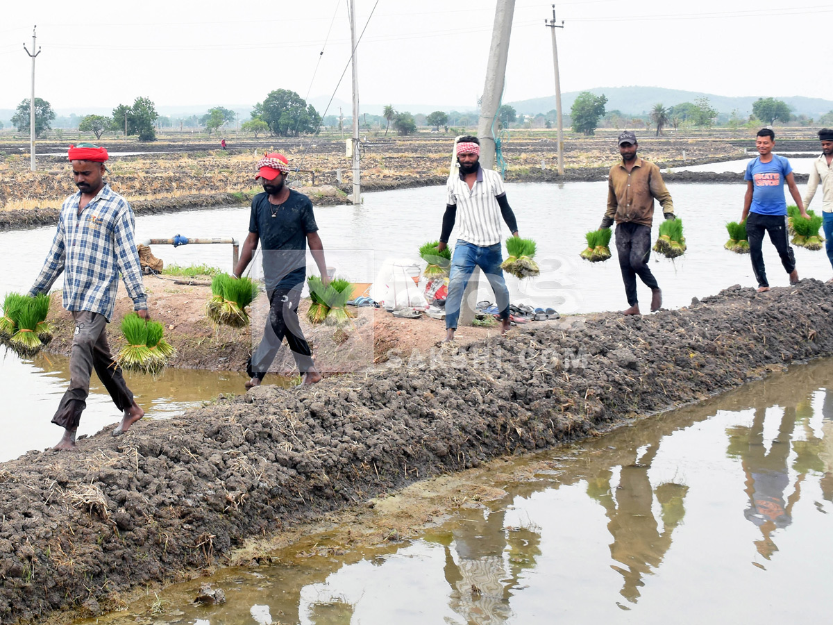 Best Photos of The Week in AP and Telangana Photo Gallery28
