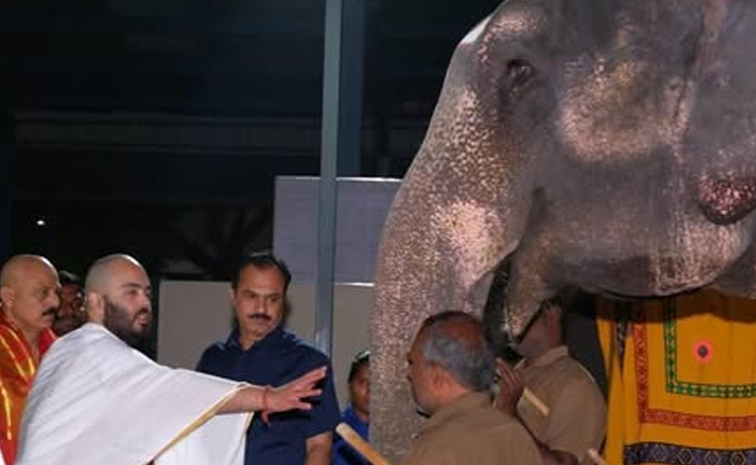 Anant Ambani Visits Tirupati Temple Photos5