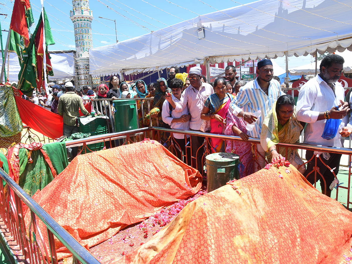 Nellore Rottela Panduga 2026 HD Photos4