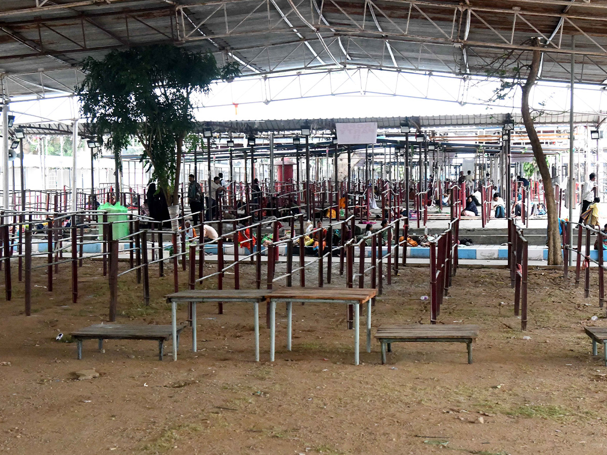 Everything is ready for the distribution of fish prasadam photos11