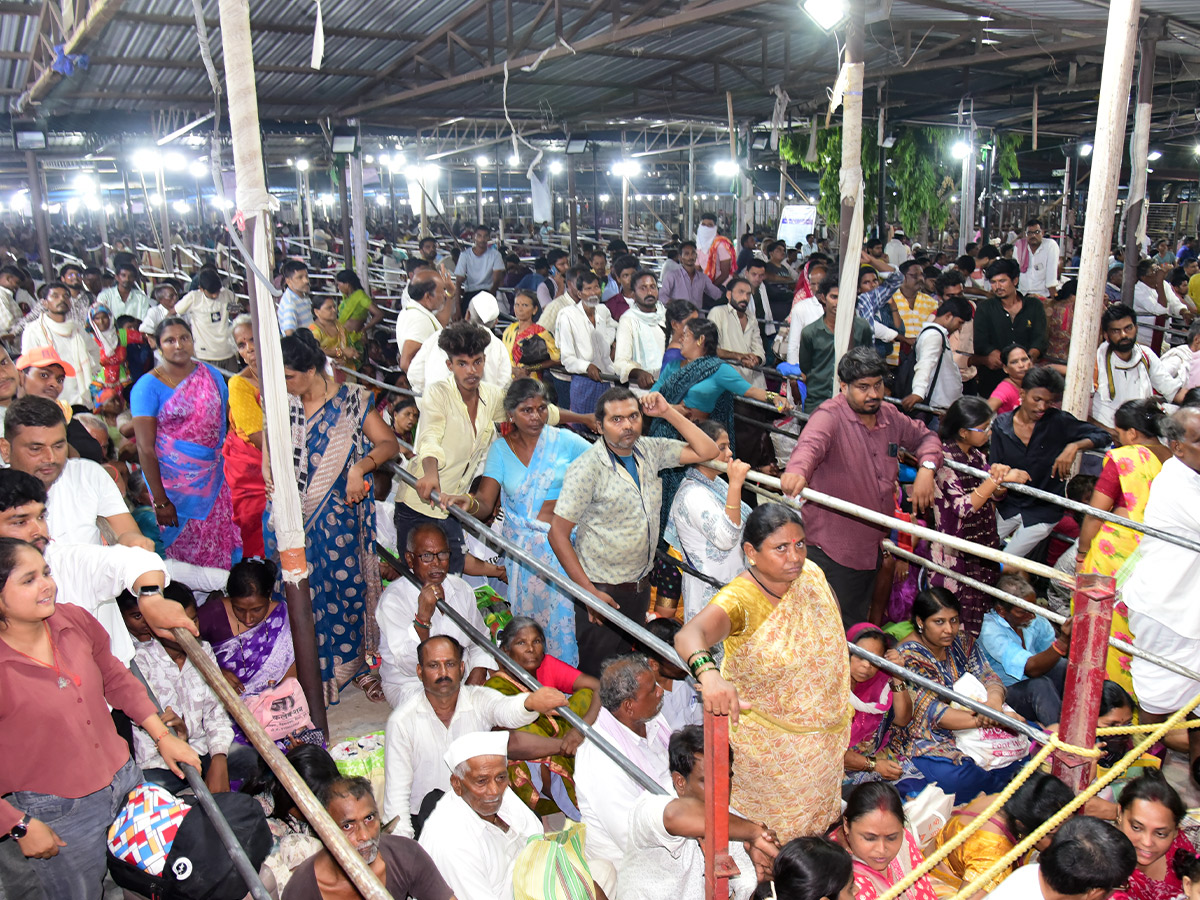 Thousands of people flocked for the fish medicine Photos...17