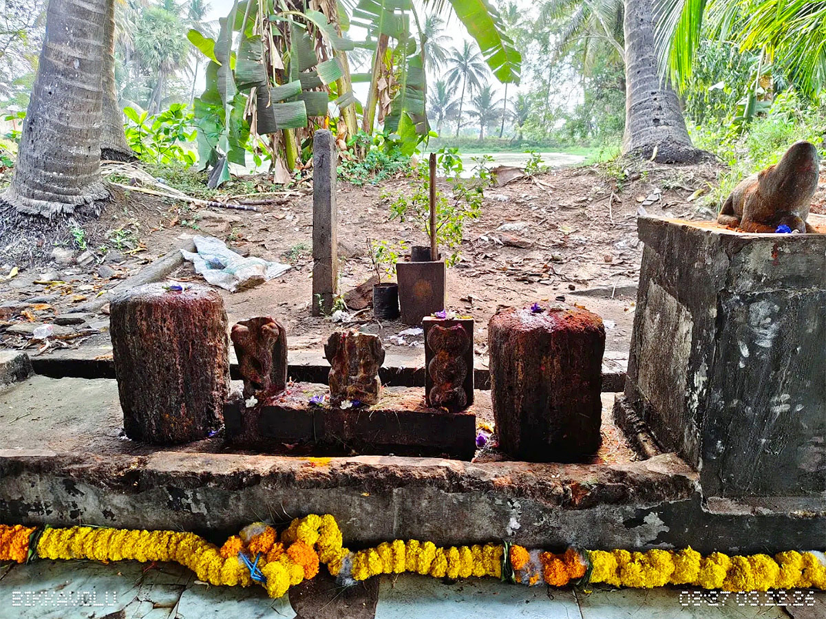 Sri Lakshmi Ganapati Temple in Bikkavolu of East Godavari16