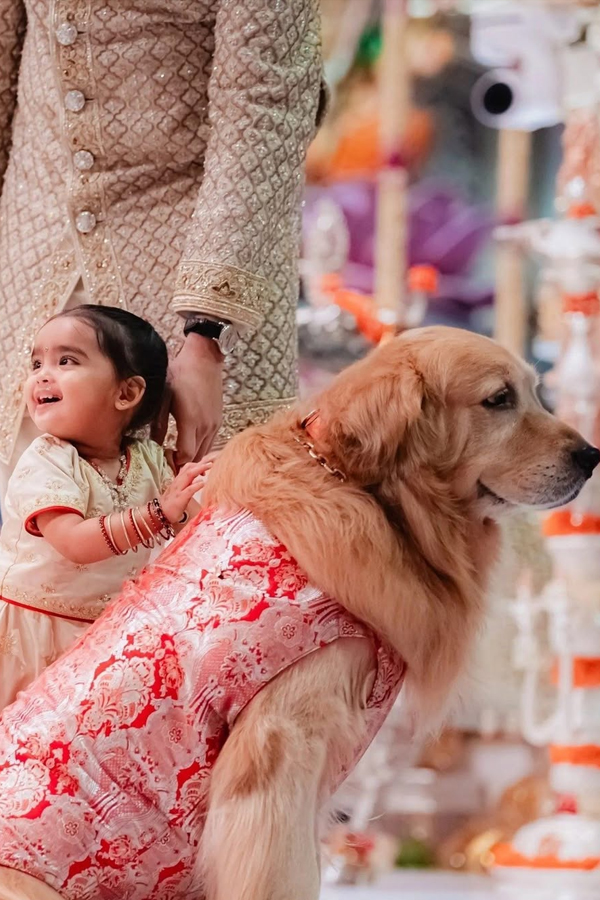 Anant Ambani and Radhika Merchant 2nd wedding Anniversary Photos7