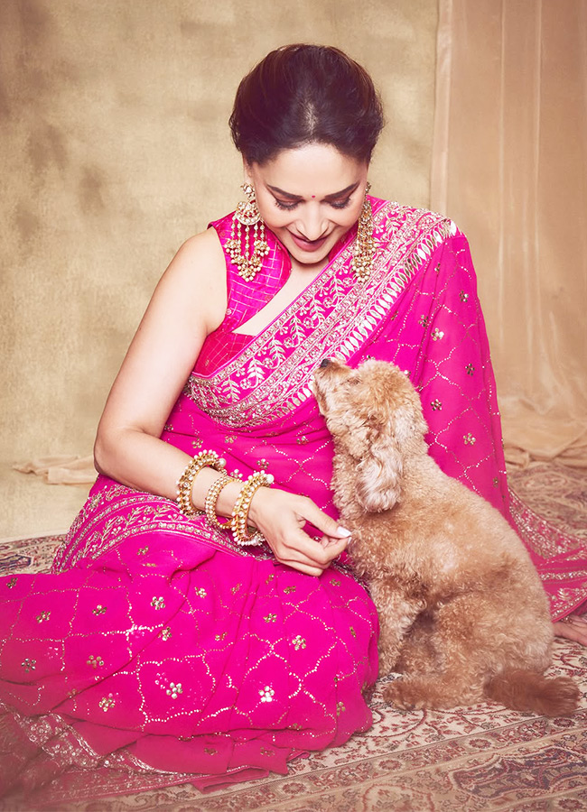 Bollywood Beauty Madhuri Dixit Stuns in a Pink Saree Photos11