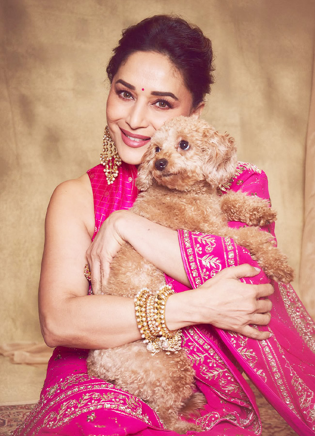 Bollywood Beauty Madhuri Dixit Stuns in a Pink Saree Photos2