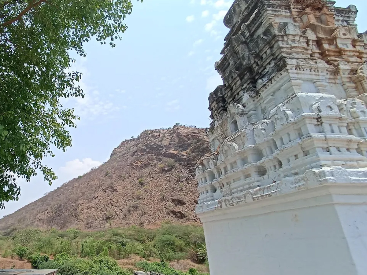 Sri Nemali Gundla Ranganayakaswamy Temple HD Photos16