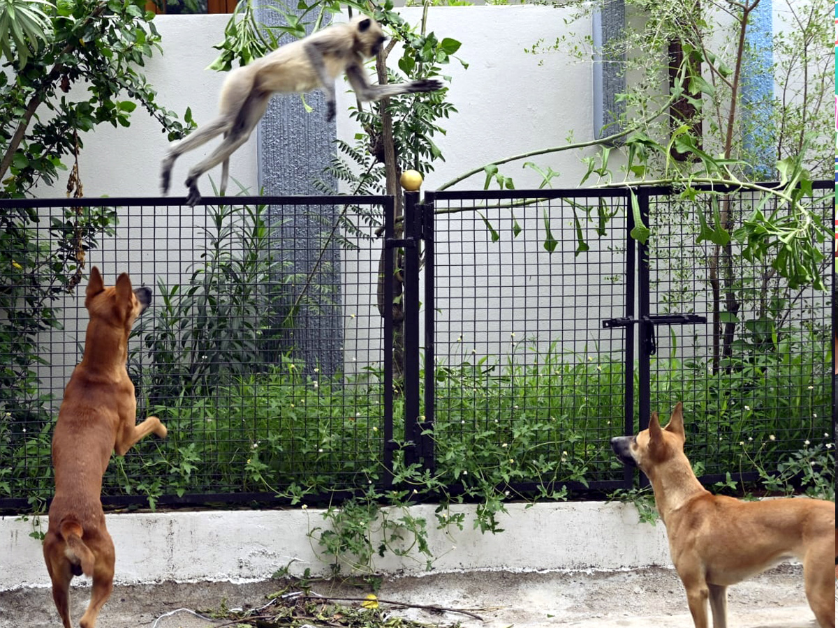 Best Photos of The Week in AP and Telangana Photo Gallery16