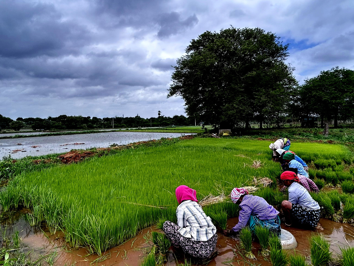 Best Photos of The Week in AP and Telangana Photo Gallery20